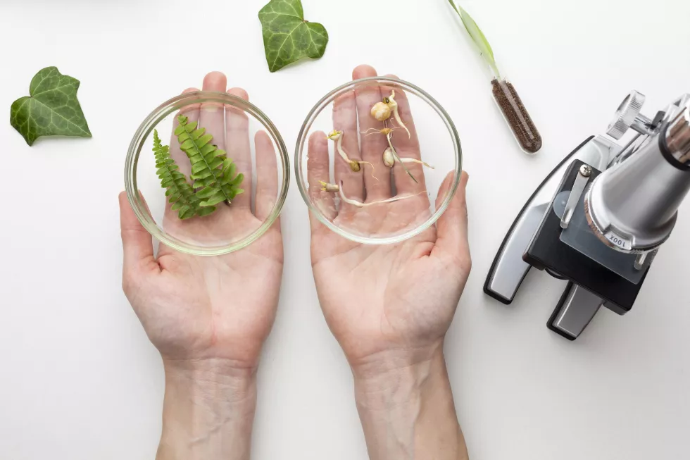 close-up-hands-holding-glassware