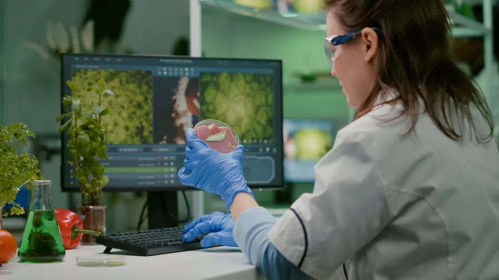 chemist-woman-analyzing-vegan-beef-meat-biochemistry-experiment